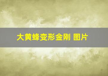 大黄蜂变形金刚 图片